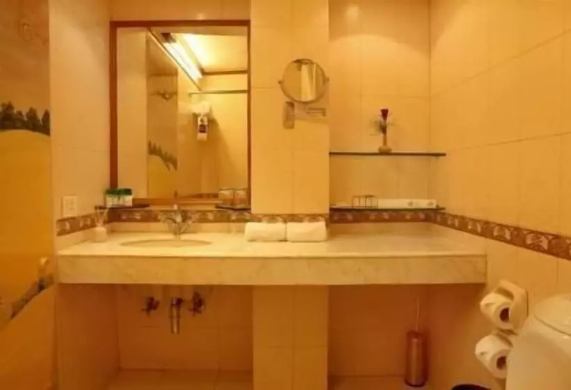 Fotos del hotel Alka Classic:  14