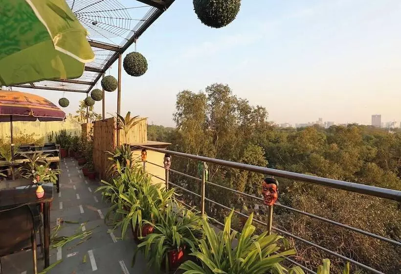 Fotos del hotel Star Plaza@new Delhi Railway Station:  22