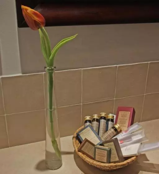 Fotos del hotel Es Petit Hotel De Valldemossa:  5