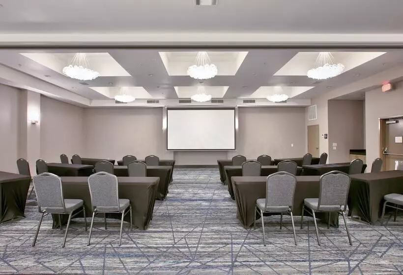 Fotos del hotel Holiday Inn Express & Suites North Dallas At Preston, An Ihg:  23