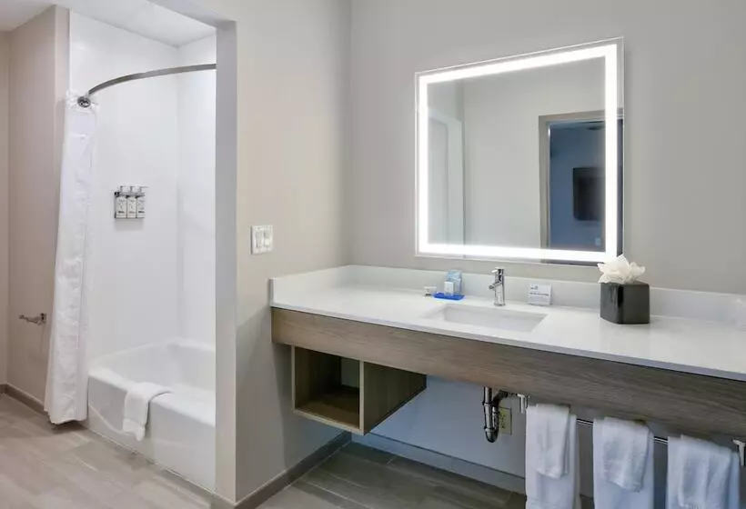 Fotos del hotel Holiday Inn Express & Suites North Dallas At Preston, An Ihg:  15