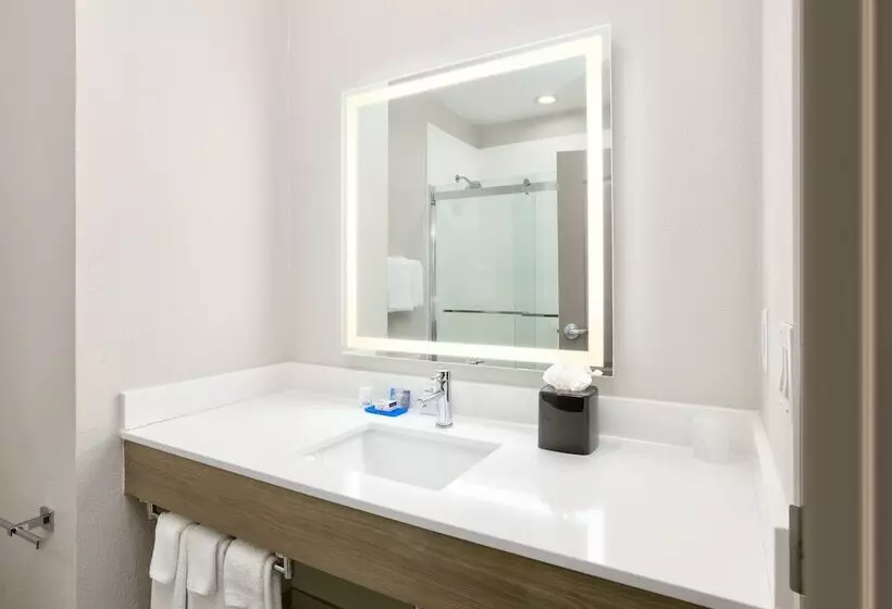 Fotos del hotel Holiday Inn Express & Suites North Dallas At Preston, An Ihg:  20