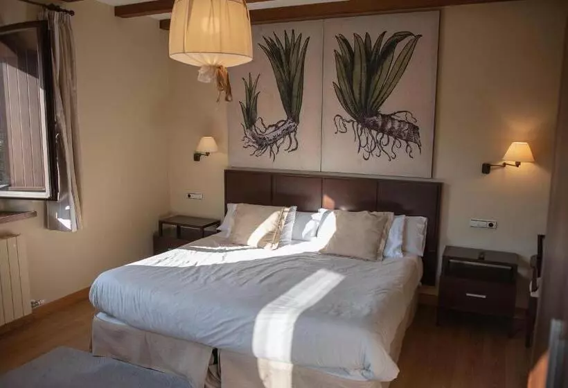 Fotos del hotel Hotel Olatzea:  16