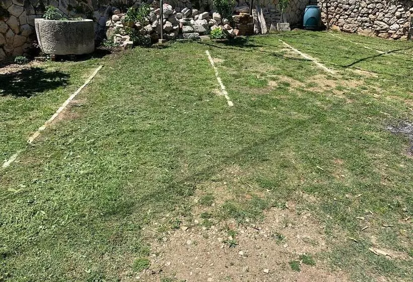 Fotos del hotel Guest House Libertas:  22