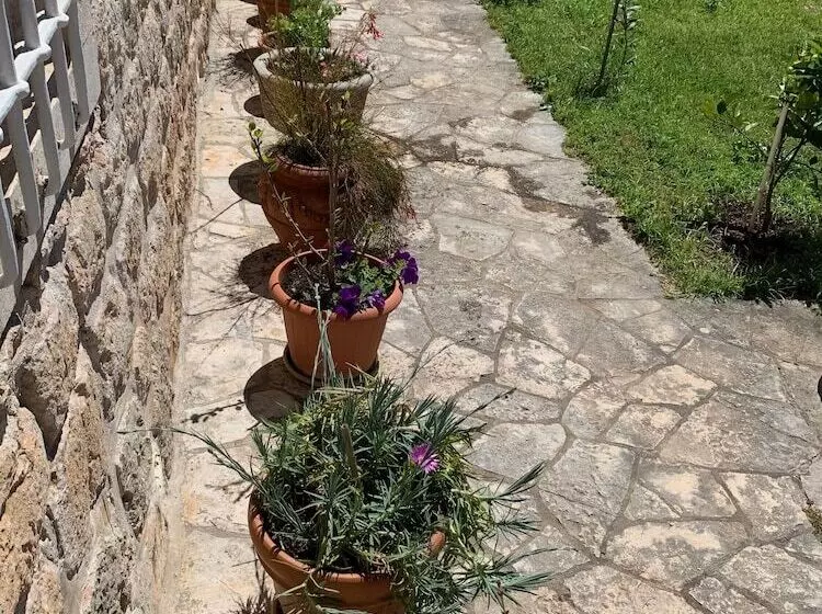 Fotos del hotel Guest House Libertas:  11