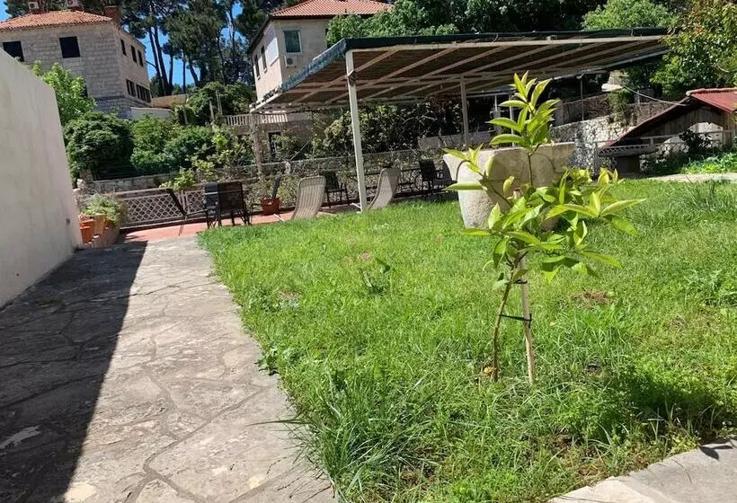 Fotos del hotel Guest House Libertas:  14