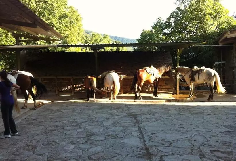 Fotos del hotel Los Nogales:  6