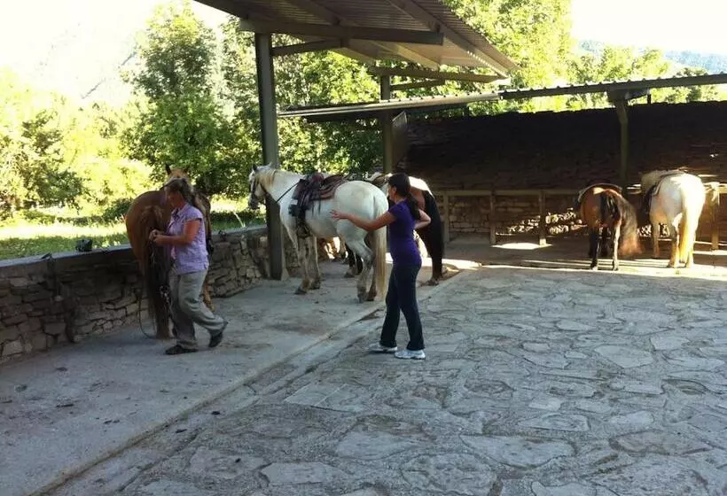 Fotos del hotel Los Nogales:  7