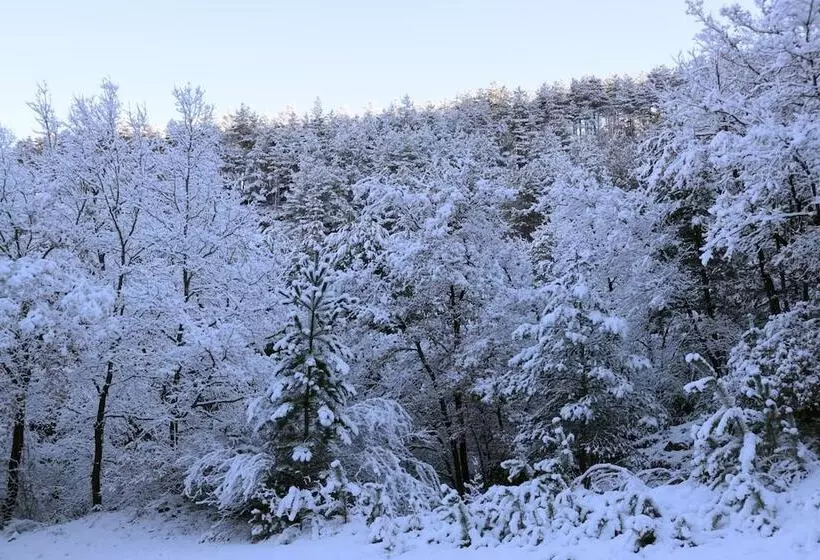 Fotos del hotel Los Nogales:  20