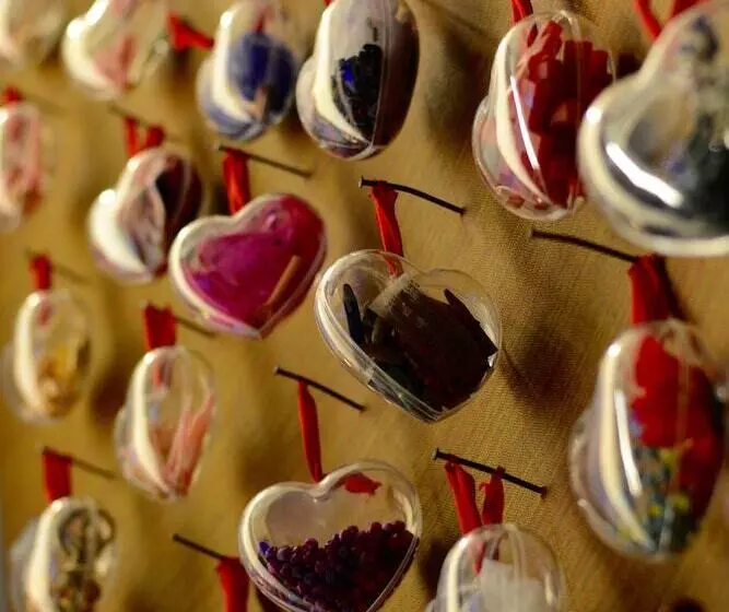 Fotos del hotel Cimarosa:  9