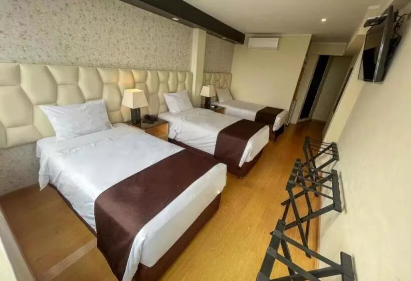 Fotos del hotel Ferre Miraflores:  7