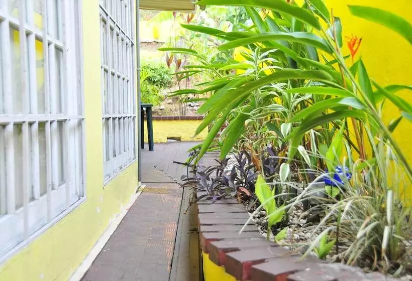 Fotos del hotel Mediterranean Dreams:  7