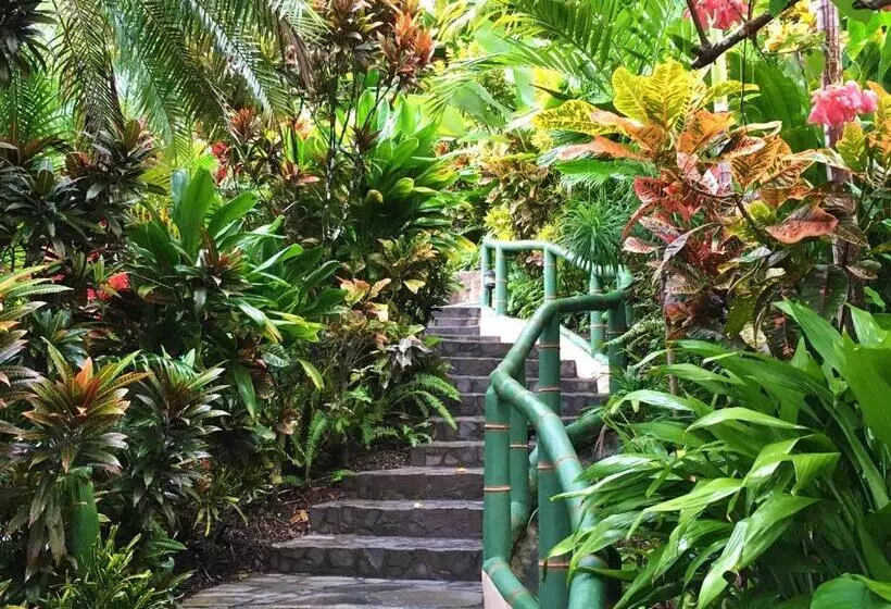 Fotos del hotel Si Como No Resort, Spa And Wildlife Refuge:  8