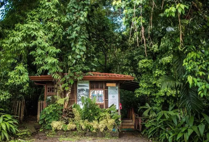 Fotos del hotel Si Como No Resort, Spa And Wildlife Refuge:  14