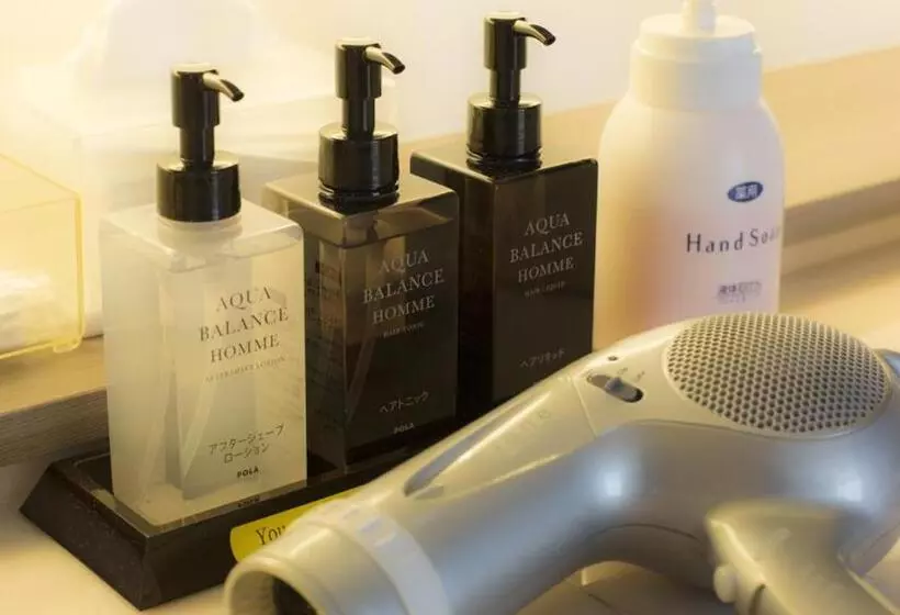 Fotos del hotel Spa  Alpina Hidatakayama:  18