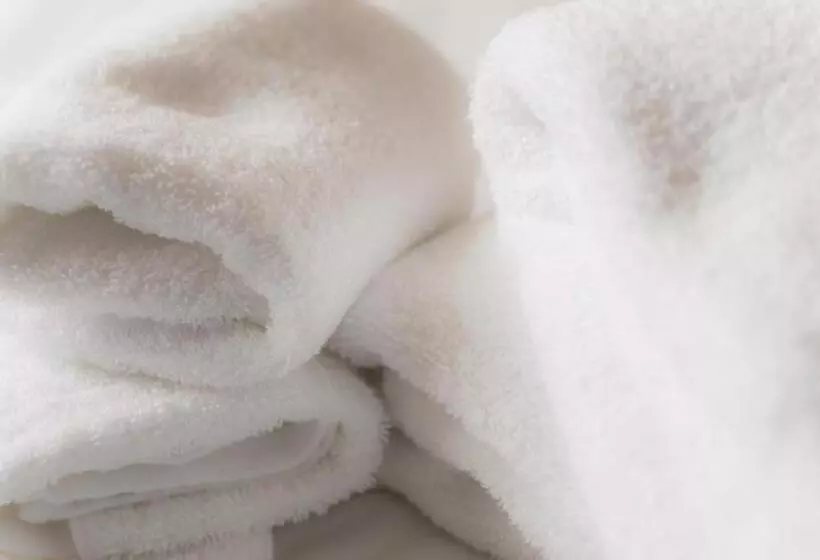 Fotos del hotel Spa  Alpina Hidatakayama:  22