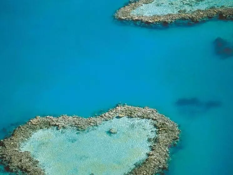 Fotos del hotel At Waterfront Whitsunday Retreat - Adults Only:  18