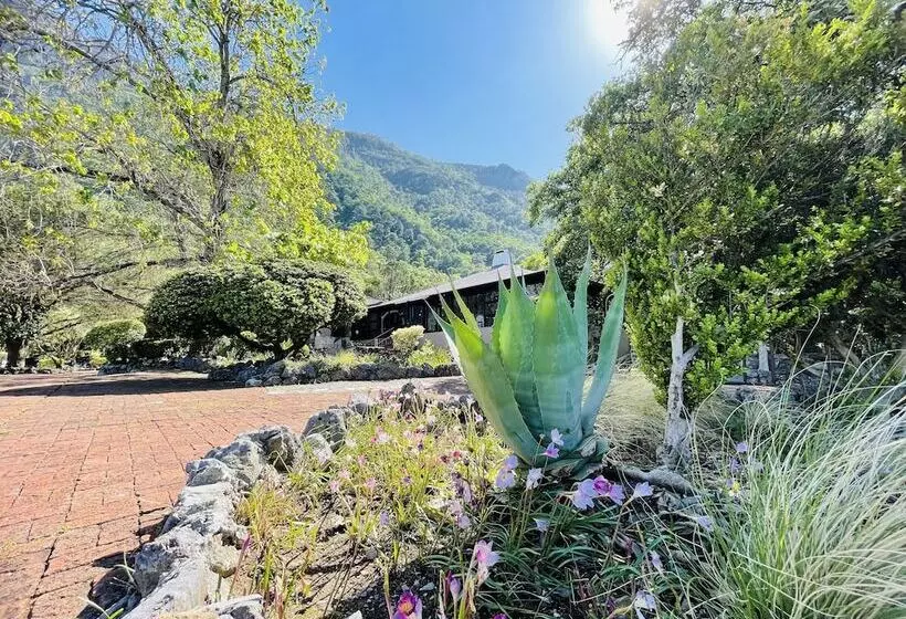 Fotos del hotel Hotel Chipinque:  20