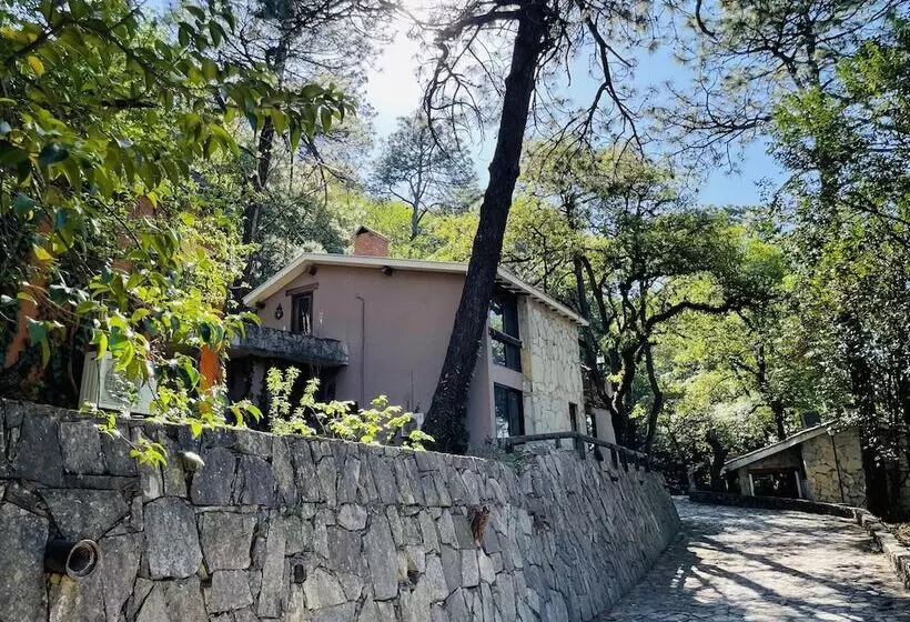 Fotos del hotel Hotel Chipinque:  24