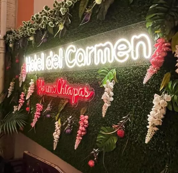 Fotos del hotel Del Carmen, En El Centro De Tuxtla Gutiérrez:  2