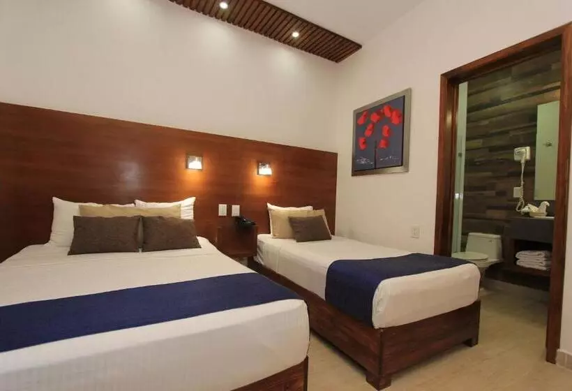 Fotos del hotel Del Carmen, En El Centro De Tuxtla Gutiérrez:  14