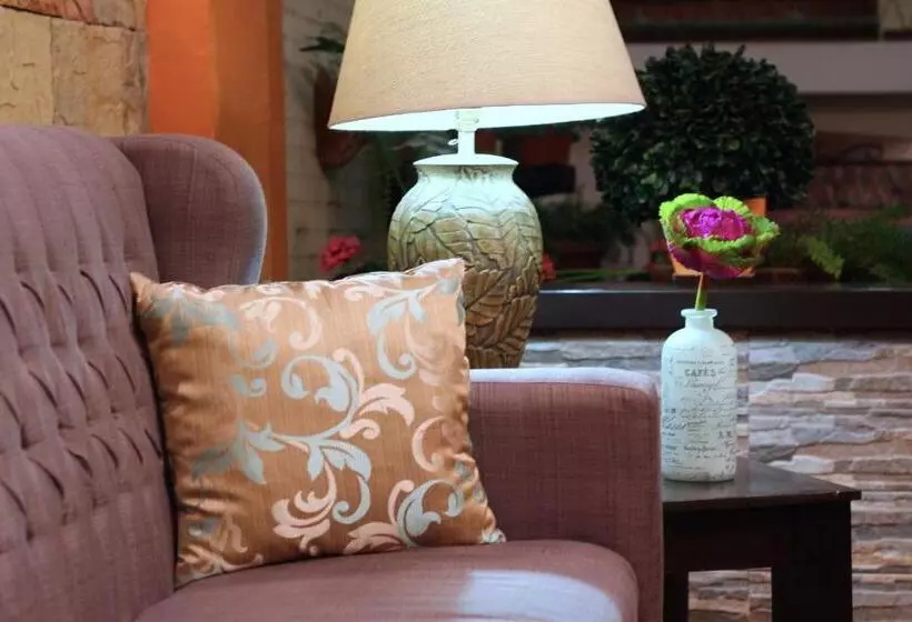 Fotos del hotel Del Carmen, En El Centro De Tuxtla Gutiérrez:  12