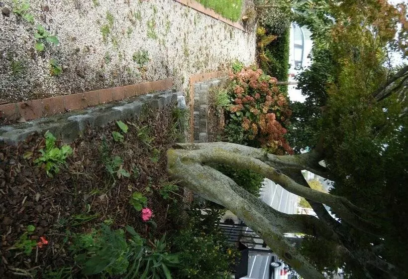 Fotos del hotel Collingwood Manor:  10