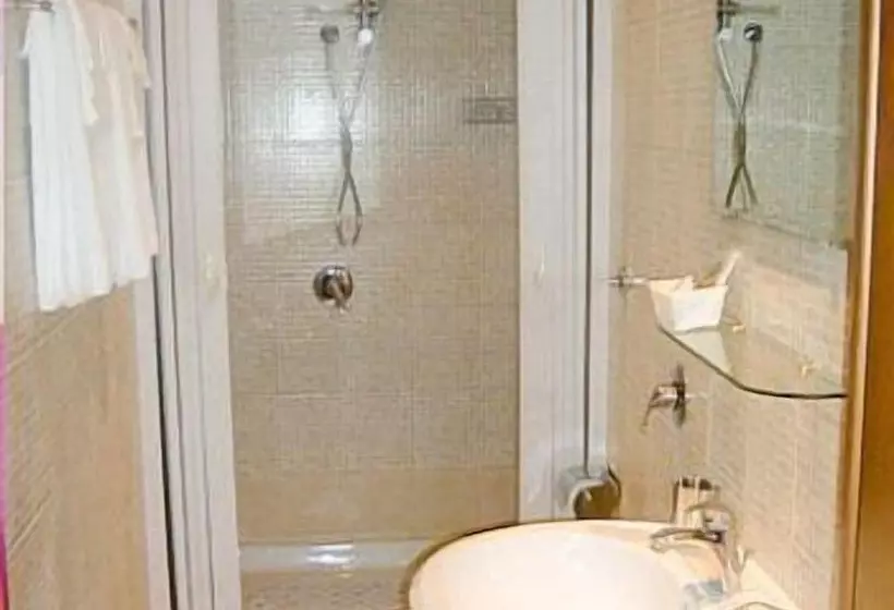 Fotos del hotel Roi:  7