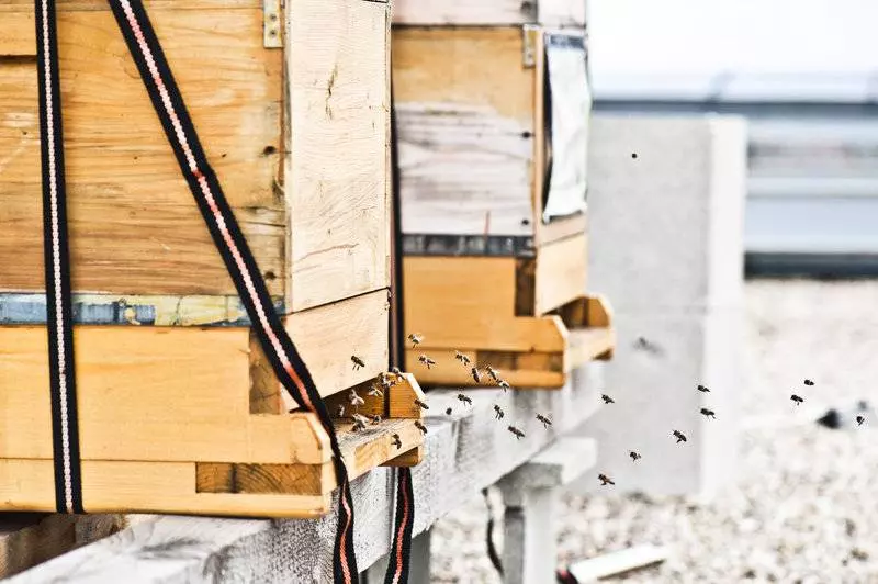 Fotos del hotel Daniel Vienna:  3