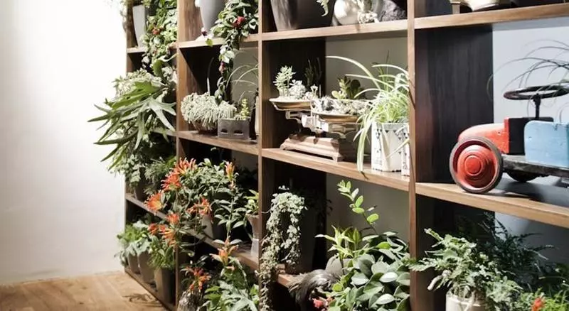 Fotos del hotel Daniel Vienna:  11