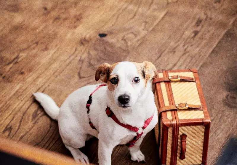 Fotos del hotel Daniel Vienna:  15