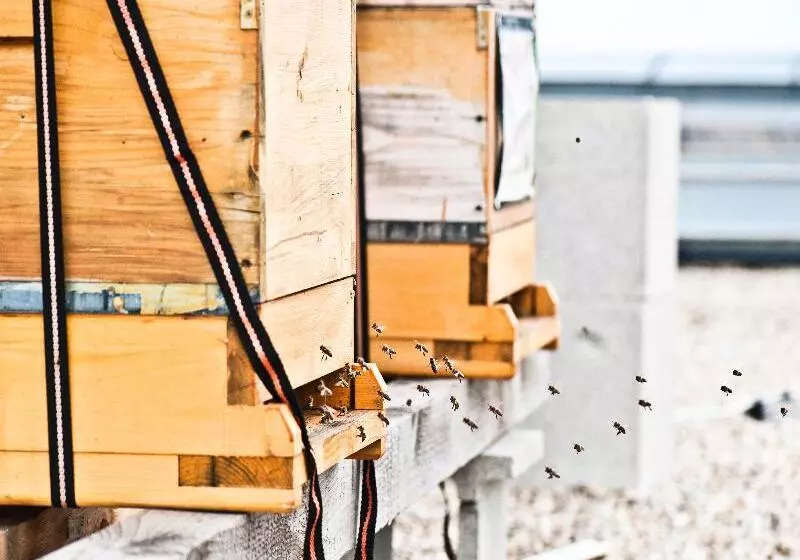 Fotos del hotel Daniel Vienna:  21