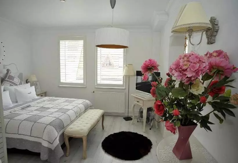 Fotos del hotel Hotel Ottaviano:  18