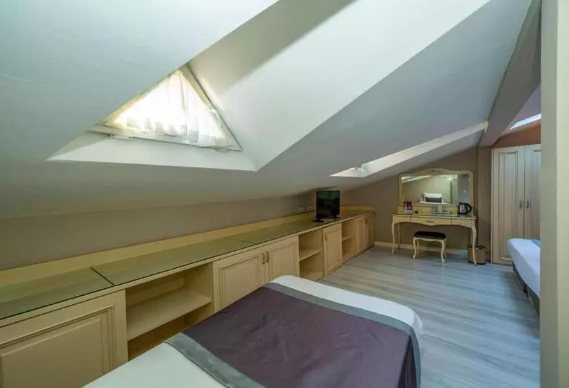 Fotos del hotel Raymond Hotel:  21