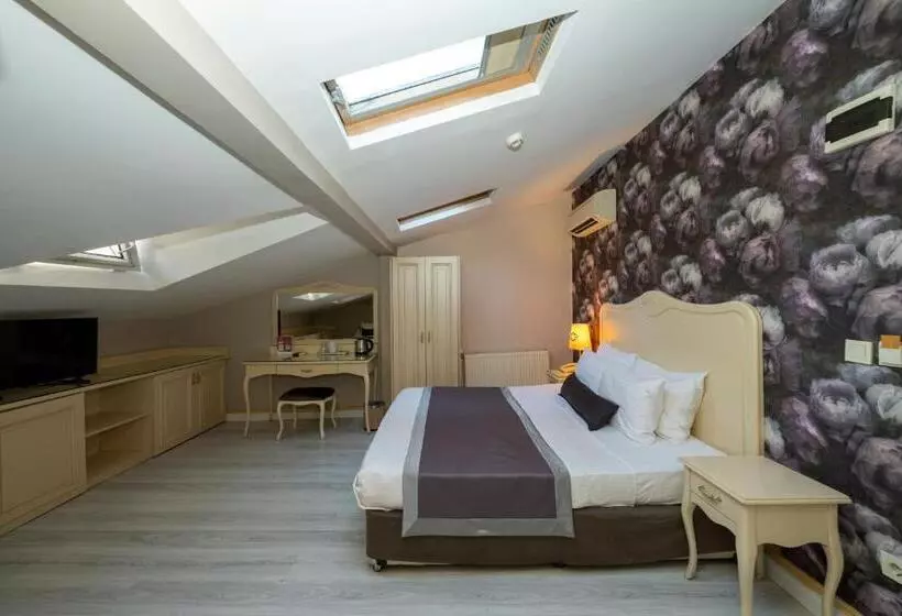 Fotos del hotel Raymond Hotel:  17