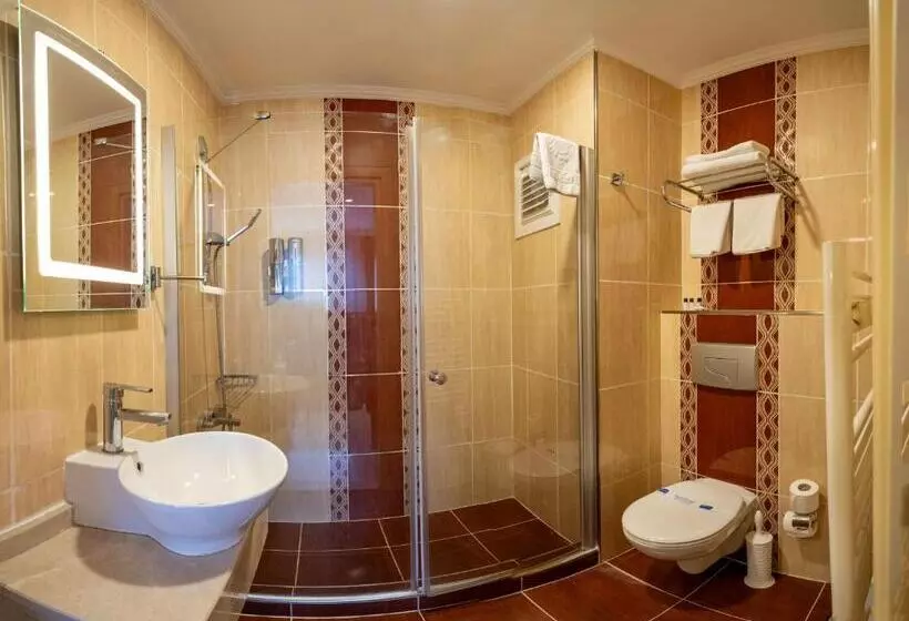 Fotos del hotel Raymond Hotel:  10