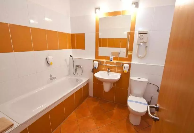 Fotos del hotel Blue Bratislava:  5