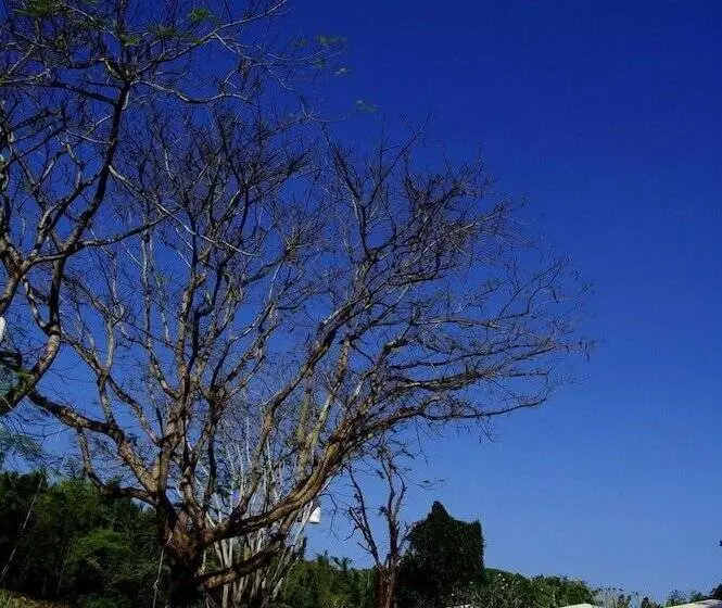 Fotos del hotel Buritara Resort And Spa, Kanchanaburi:  20