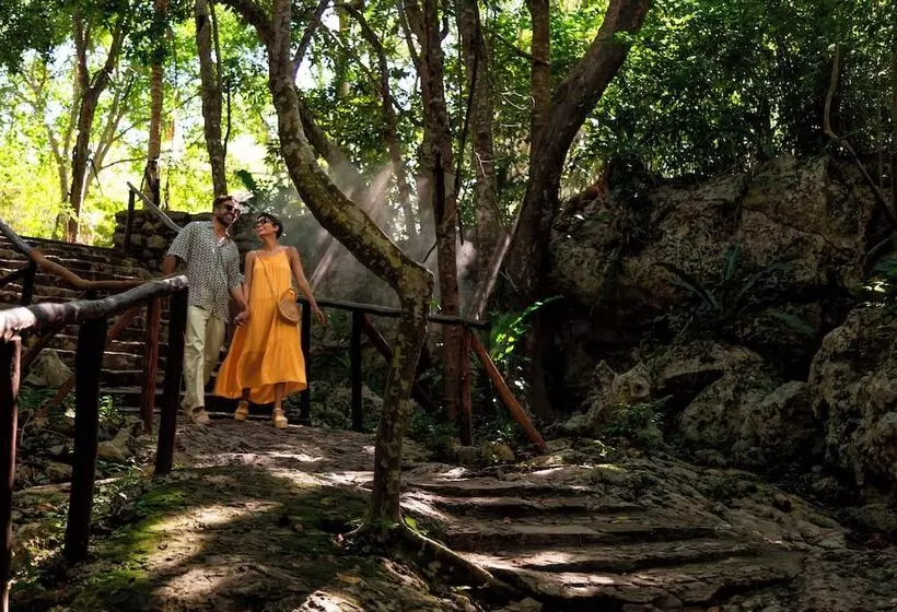 Fotos del hotel Paradisus La Perla - Adults Only:  6