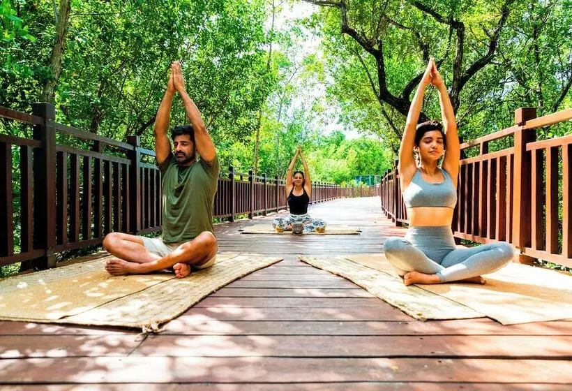 Fotos del hotel Paradisus La Perla - Adults Only:  9