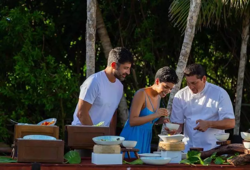 Fotos del hotel Paradisus La Perla - Adults Only:  14