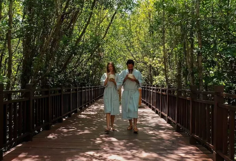 Fotos del hotel Paradisus La Perla - Adults Only:  15