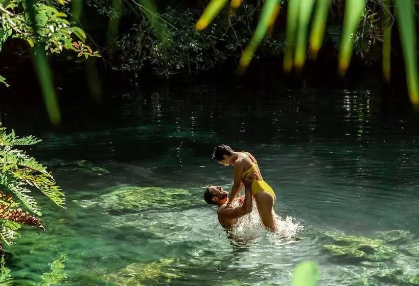 Fotos del hotel Paradisus La Perla - Adults Only:  4