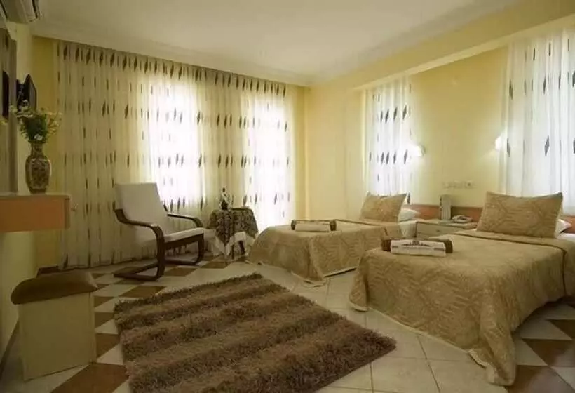 Fotos del hotel Sevi Classic:  8