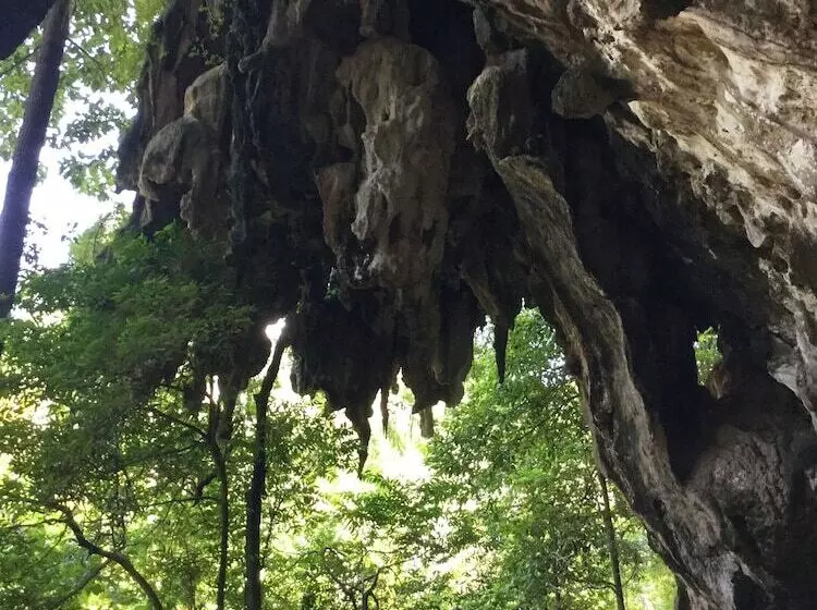 Fotos del hotel Wild Orchid Krabi Boutique:  12