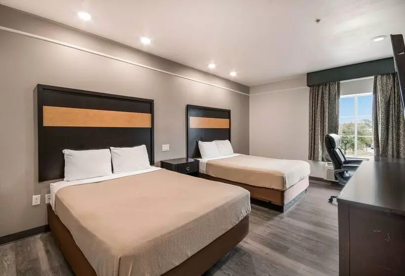 Fotos del hotel Motel 6houston, Tx  Spring:  17