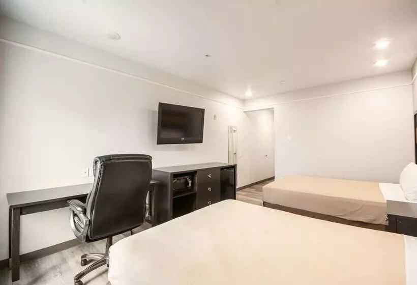 Fotos del hotel Motel 6houston, Tx  Spring:  25