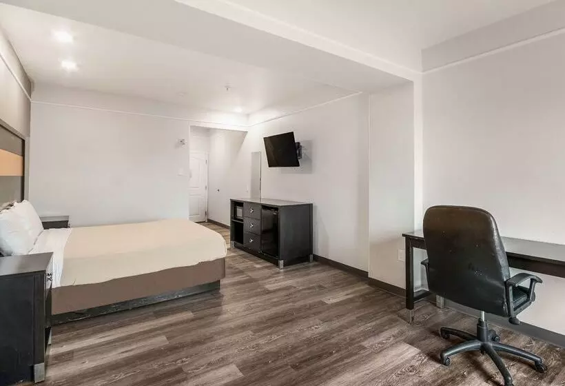 Fotos del hotel Motel 6houston, Tx  Spring:  11