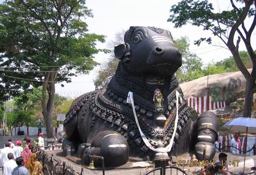 Fotos del hotel Geo:  4