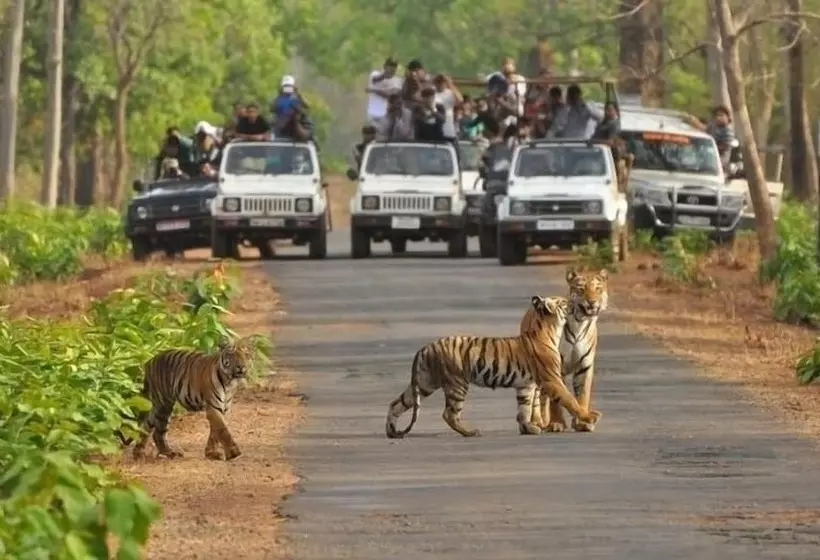Fotos del hotel Geo:  5
